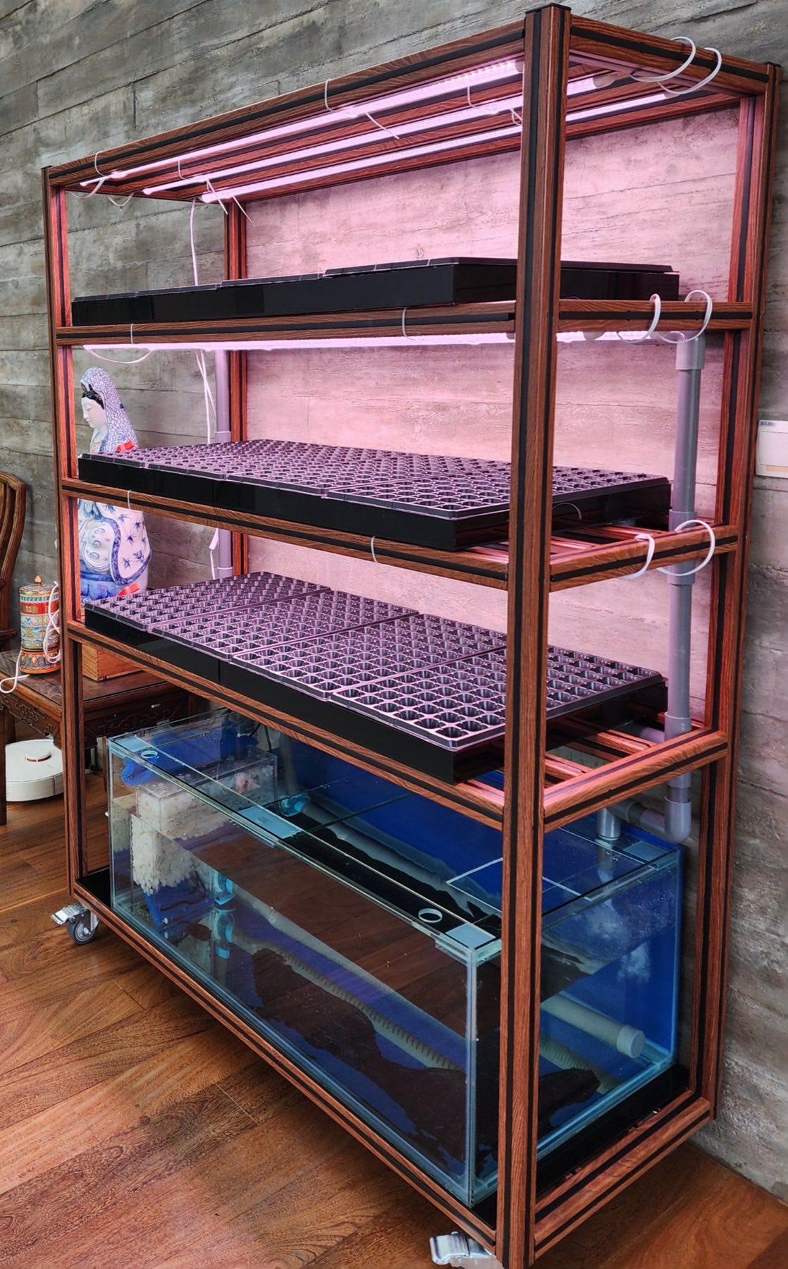 The TDA AquaFrame home aquaponics unit, with aluminium frame, fish tank base and growing racks