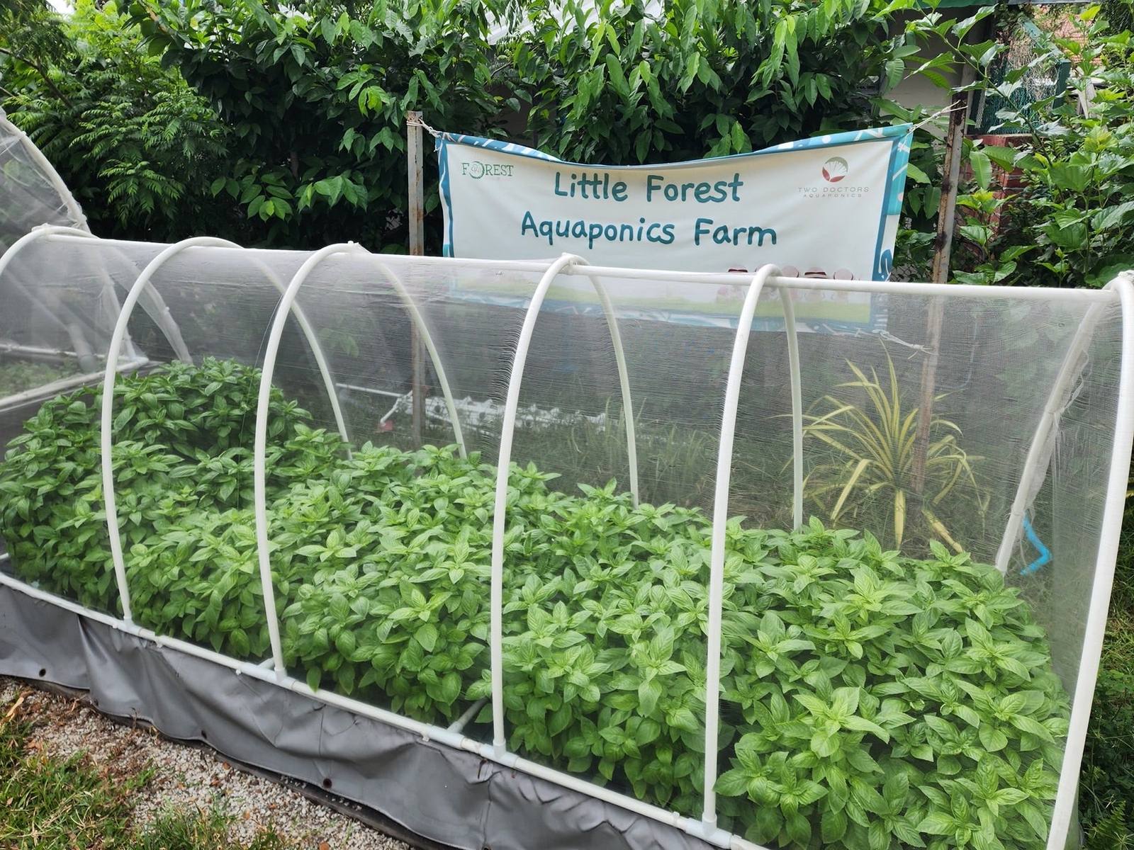 Visitors exploring netted aquaponics growing beds during a guided farm tour