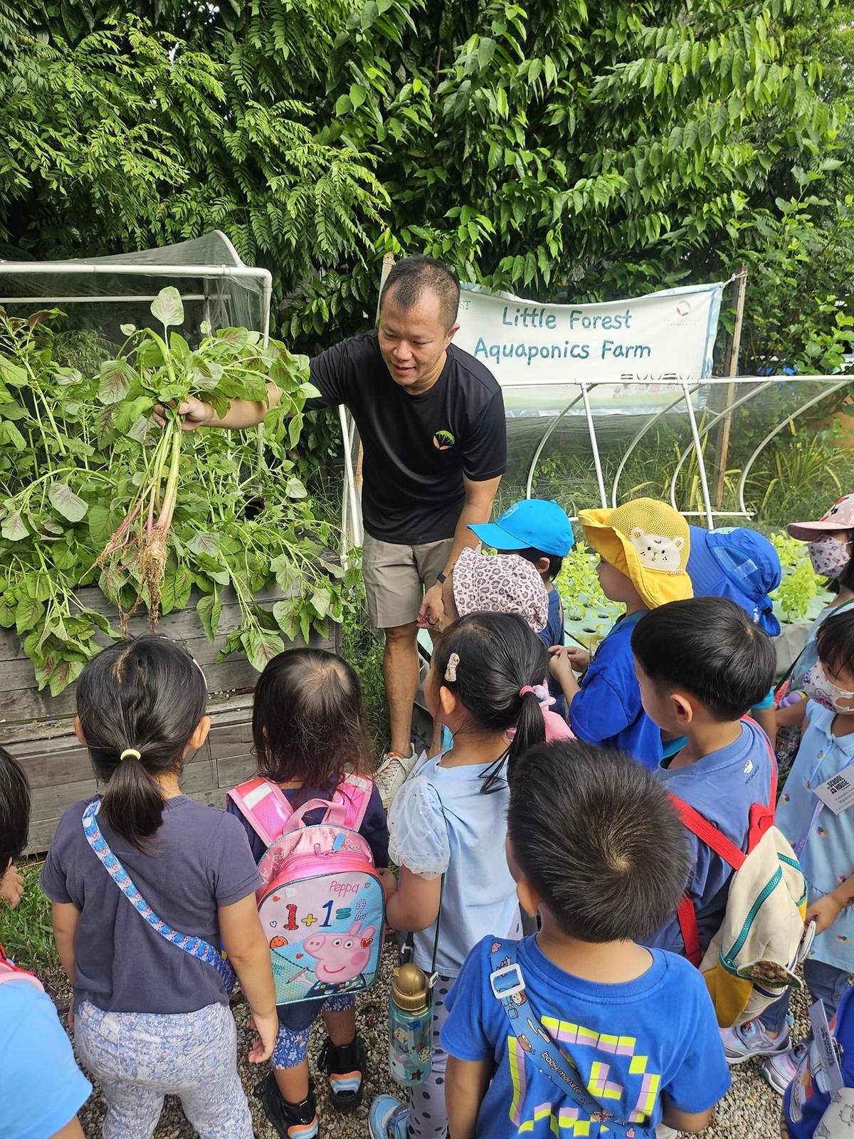 Children harvesting vegetables alongside their instructor during a Two Doctors Aquaponics enrichment workshop