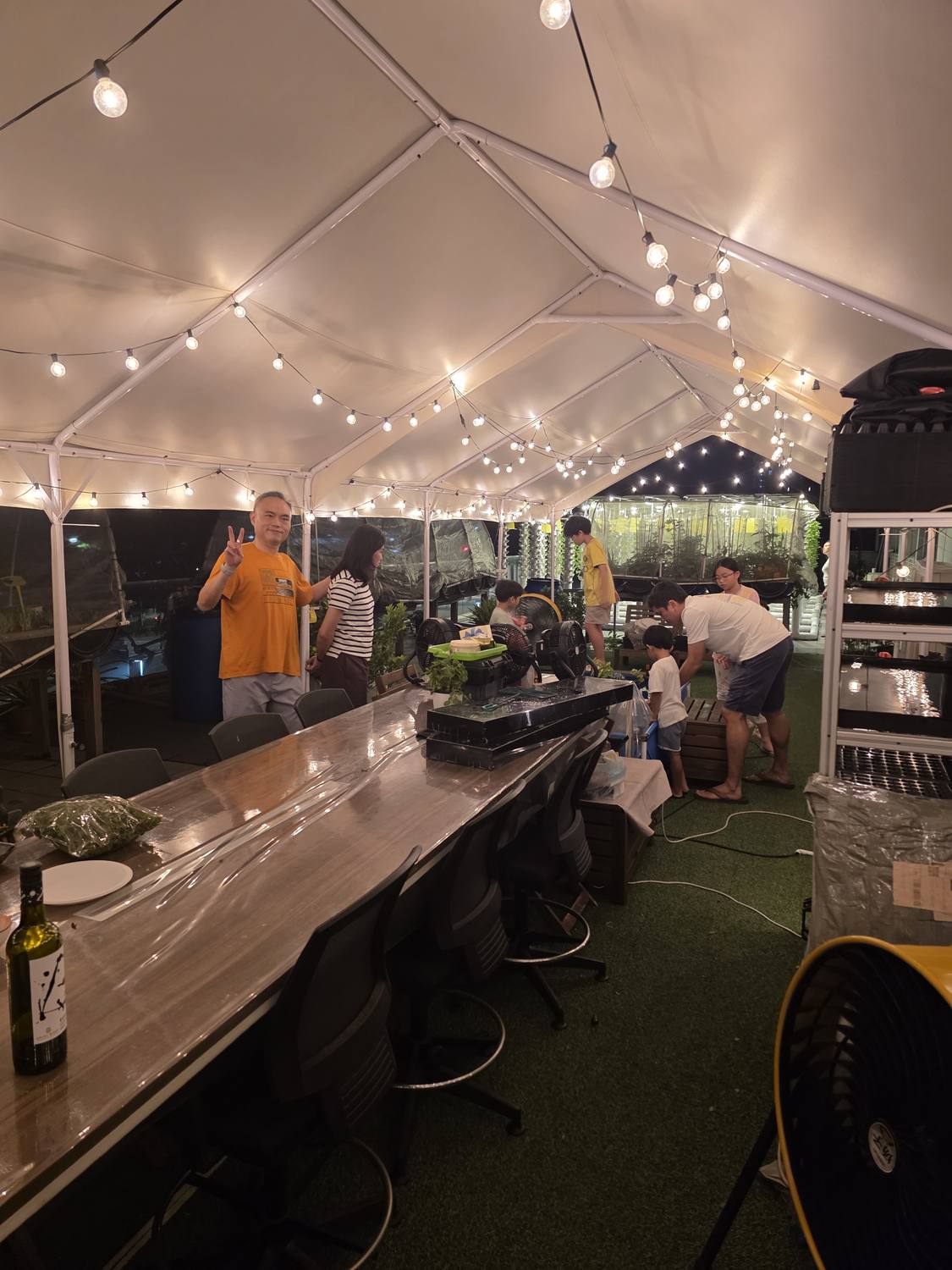 The farm's open-air pavilion in the evening, glowing with string lights over a long communal table - the setting for our bespoke farm experiences